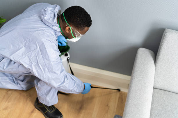 Best Real Estate Pest Inspections  in Cave Junction, OR